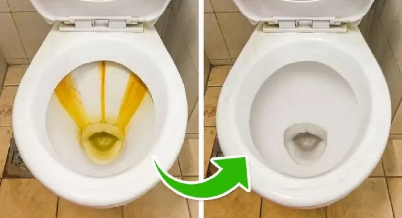 capture d’écran 2025 08 06 005615 capture d’écran 2025 08 06 005615