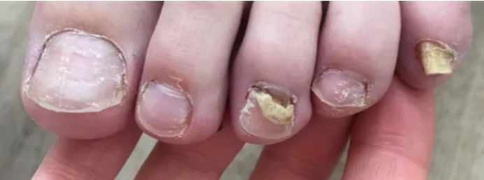 capture d'écran 2025 08 06 145330